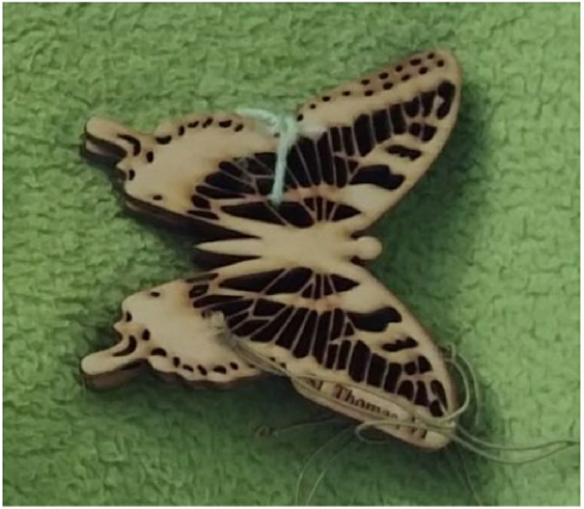 Laser Carvings - $1.00