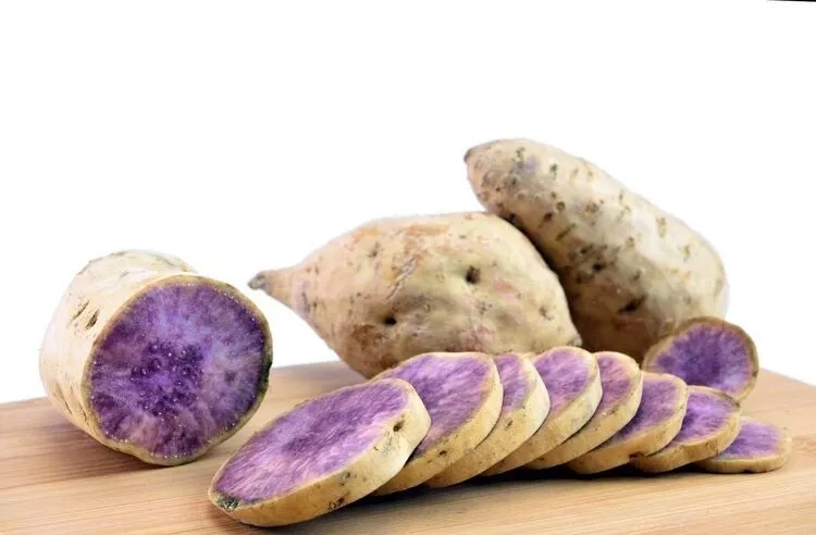 13 Hawaii Okinawa Purple Sweet Potato Slips (NO Roots No Leaves) Khoai L... - $43.00