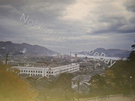 1950 San Diego Zoo Sea Lion Exhibit California Anscochrome 35mm Slide - £8.31 GBP