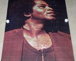 JAMES BROWN  BLACKLIGHT POSTER VINTAGE 1972 GEMINI RISING - $164.99
