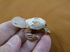 (Y-TUR-SET-49) Little Tan Red Sea Turtle Carving Stone Gemstone Soapstone Peru - £6.86 GBP