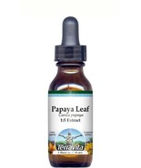Papaya Leaf Glycerite Liquid Extract (1:5) - No Flavor (1 oz, ZIN: 51280... - $44.71 CAD