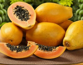 Strawberry Sunset Papaya Seeds - Organic - Hawaii Grown Delicious Free Shipping - £7.98 GBP+