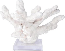 Sculpture Catspaw Coral Small Colors May Vary Variable Acrylic Base Handmade - £183.05 GBP