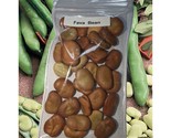30 Fava Bean Seeds Non Gmo Heirloom Broad Bean Cover Crop Nitrogen Fix F... - $15.98