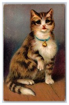 Adorable Cat Big Eyes Bell Collar Paw Up 1910 DB Postcard Q19 - $7.87