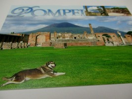 Post Card Pompei Made In Italy &quot;1&quot; Card Italian Collectible 6 X 4 Inches #6 - £7.15 GBP
