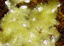 AUTUNITE - Fluorescent Uranium - Apex Mine, Lander County, NEVADA - $75.00