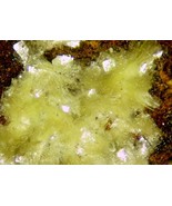 AUTUNITE - Fluorescent Uranium - Apex Mine, Lander County, NEVADA - $75.00