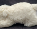 Demdaco Nancy Tillman Polar Bear Plush 9&quot; Soft Rattle On The Night You W... - £11.83 GBP