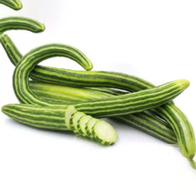 Cucumber Armenia Vegetable 50 Seeds Organic 1 meter Long - £7.58 GBP