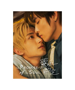 The Promise of the Soul (2025 ) Taiwanese BL Drama - $62.00