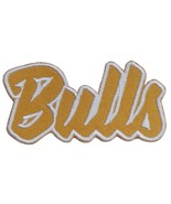 Chicago Bulls Text  Embroidered Applique Iron On Patch Various Sizes Cus... - $131.37 MXN+