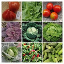 Garden vegetable package from France - SORTIMENT - 9 variety - 230+ seeds -V 117 - £7.95 GBP