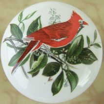 Ceramic Cabinet Knobs Knob Cardinal Bird Birds #7 domestic - $4.46