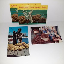 Florida FL Tarpon Springs Sponge Exchange Workers Industry Postcard 60s - $5.94