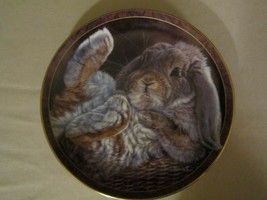 Bunny Rabbit Collector Plate Vivi Crandall Footloose Bunny Tales #1 - £20.09 GBP