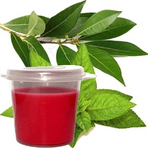Eucalyptus &amp; Peppermint Scented Soy Wax Candle Melts Shot Pots, Vegan, Hand Pour - £12.89 GBP+