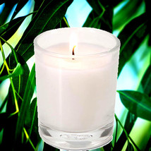 Australian Eucalyptus Scented Votive Candles Hand Poured Luxury Home Fragrance - $280.26 MXN - $355.25 MXN