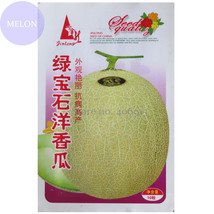 SL Heirloom Green White Sweet Melon With Overlapping Curve Gray Skin, Or... - $4.14