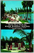 Dual View Banner Greetings Warm Mineral Springs Venice FL Chrome Postcard J13 - £3.13 GBP