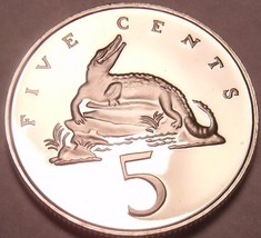 Rare Proof Jamaica 1978 5 Cents~Only 6,058 Minted~American Crocodile~Free Ship - £4.65 GBP