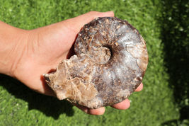 Item image 12