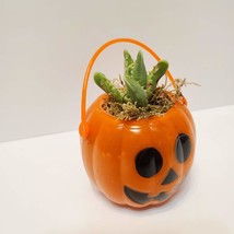 Mini Halloween Succulent Planters, set of 2, Pumpkin Jack O'Lantern Pots image 6