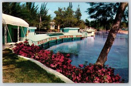 Postcard Azaleas World&#39;s Original Underwater Show Weeki Wachee Spring FL - $5.00