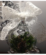 Miniature Ecosphere Christmas Tree Ball Ornaments Natural Nature w/ Lace... - $8.99