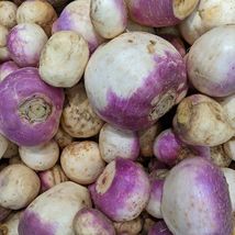 Purple Top Rutabaga 200 Seeds  Fresh Garden Seeds Non-GMO Heirloom - £7.07 GBP