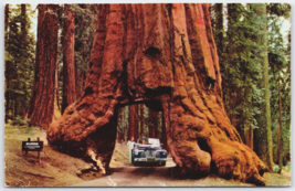 Yosemite Nat&#39;l Park WAWONA Tunnel Tree Yosemite Valley CA.  Postcard Unposted - £6.21 GBP