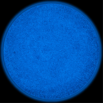  Fuzion UV/LED Glowz - Pixie Dust, 8gm image 3