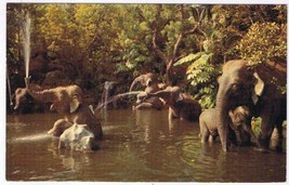 California Postcard Elephant Pool Rivers Of Adventure Disney Magic Kingdom - $1.97