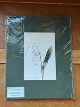 LILY OF THE VALLEY Floral Watercolor Print by Susan Cassevaugh in Green Mat Read - £11.61 GBP