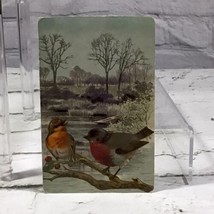 Birds on a Branch by the Lake Vintage Postcard Posted  - £7.76 GBP