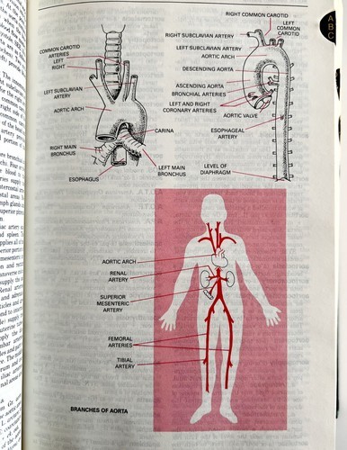 Taber's Cyclopedic Medical Dictionary 15 Ed 1985 Illustrated Encyclopedia SSMED Item image 5