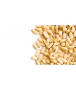 Pignolia Nuts Raw 10 LB Case - Fresh, Free Shipping - $3,722.73 MXN