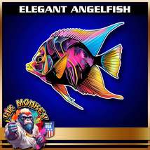 Elegant Angelfish  - Decal - £3.53 GBP+