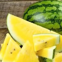 Watermelon Yellow Rare Vegetable Planting Organic Heirloom Garden  - $4.45