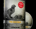 The Egg Bag (DVD and Gimmick) by Luis de Matos - Trick - £51.33 GBP