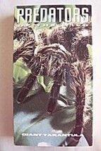 Predators Of The Wild: Giant Tarantula - £26.46 GBP