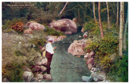 A Highland Stream Muskoka Lake District Grand Trunk Fishing Postcard Posted 1928 - £6.96 GBP