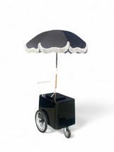 PALETA STREET CART BEVERAGES CART POPSICLES CART FROZEN ITEMS VENDOR PUS... - $3,325.00
