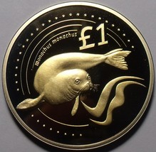 Cyprus 2005 Pound Cameo Proof~RARE~4,000 Minted~Mediterranean Monk Seal~Free Shi - £46.49 GBP