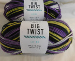 Big Twist Living Authentic lot of 2 Dye Lot 196309 - $9.99