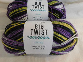 Big Twist Living Authentic lot of 2 Dye Lot 196309 - $9.99