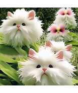 50Pcs Seeds Cute Cat Face Orchid Seed Bonsai Plants Flowers For Garden - $14.44