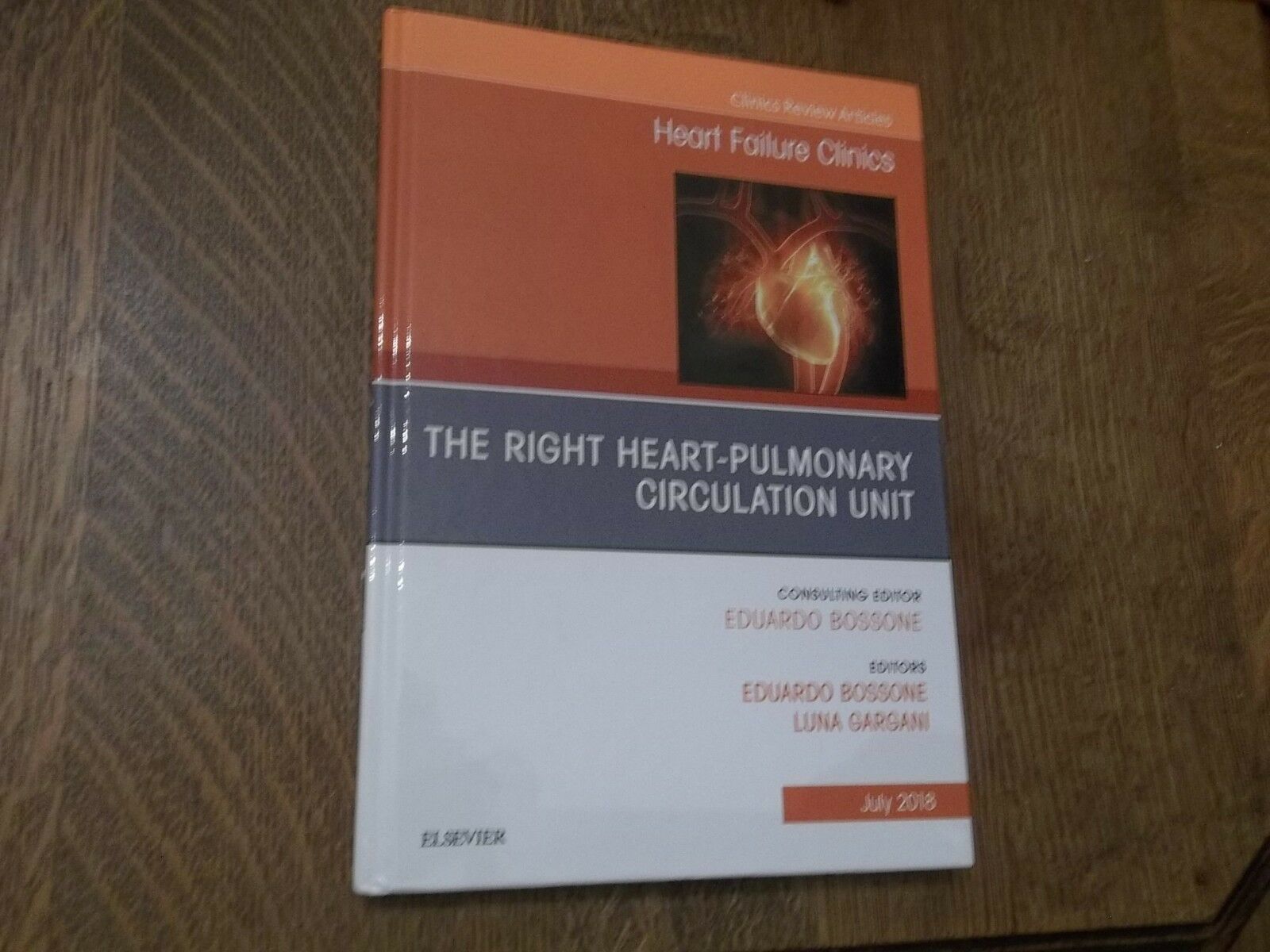 The Clinics Internal Medicine: The Right Heart Pulmonary Circulation Uni... - $59.39