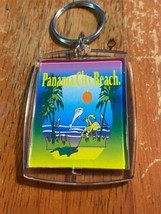 Florida Souvenir Panama City Beach Dolphin Flamingo Alligator Swamp Keyc... - £9.60 GBP